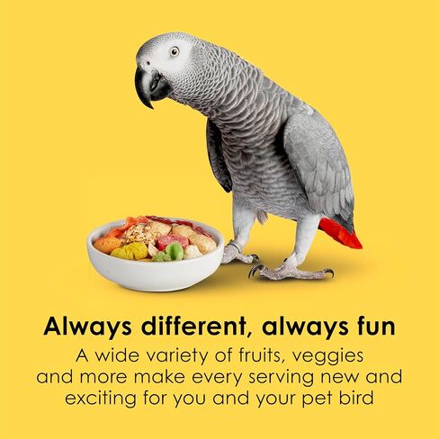 Kaytee Fiesta Parrot Food for Large Birds, 2.5 Pounds in Kuwait