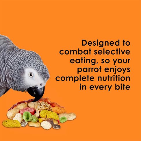 Kaytee Fiesta Parrot Food for Large Birds, 2.5 Pounds in Kuwait