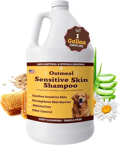 Natural [Dog] Company Oatmeal Sensitive Skin Shampoo, 12 oz., Dandruff Shampoo, Hypoallergenic, Plant Based Ingredients, Bathing Supplies, Itchy [Skin] relief for [Dog]s in Saudi Arabia