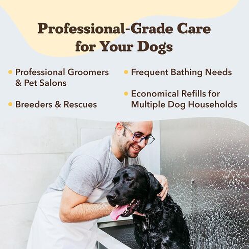 Natural [Dog] Company Oatmeal Sensitive Skin Shampoo, 12 oz., Dandruff Shampoo, Hypoallergenic, Plant Based Ingredients, Bathing Supplies, Itchy [Skin] relief for [Dog]s in Saudi Arabia