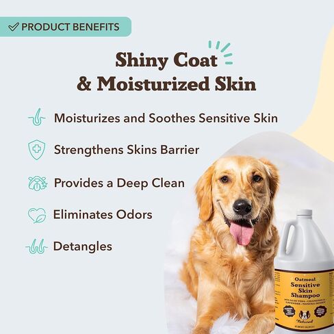 Natural [Dog] Company Oatmeal Sensitive Skin Shampoo, 12 oz., Dandruff Shampoo, Hypoallergenic, Plant Based Ingredients, Bathing Supplies, Itchy [Skin] relief for [Dog]s in Saudi Arabia