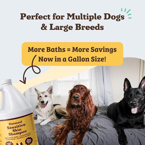 Natural [Dog] Company Oatmeal Sensitive Skin Shampoo, 12 oz., Dandruff Shampoo, Hypoallergenic, Plant Based Ingredients, Bathing Supplies, Itchy [Skin] relief for [Dog]s in Saudi Arabia