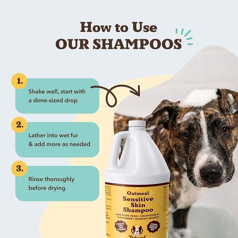 Natural [Dog] Company Oatmeal Sensitive Skin Shampoo, 12 oz., Dandruff Shampoo, Hypoallergenic, Plant Based Ingredients, Bathing Supplies, Itchy [Skin] relief for [Dog]s in Saudi Arabia