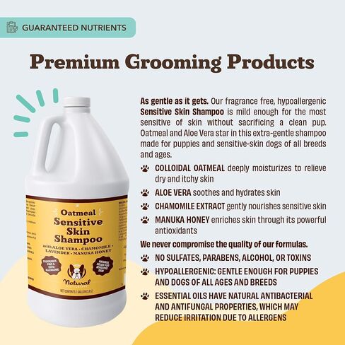Natural [Dog] Company Oatmeal Sensitive Skin Shampoo, 12 oz., Dandruff Shampoo, Hypoallergenic, Plant Based Ingredients, Bathing Supplies, Itchy [Skin] relief for [Dog]s in Saudi Arabia