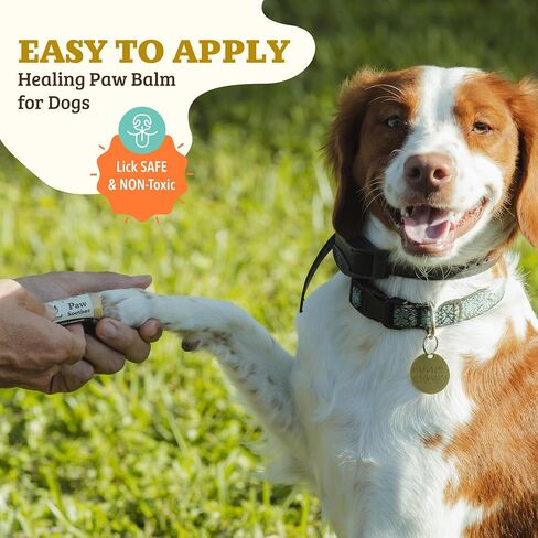 مجموعة PAWDICURE من شركة Natural Dog Company، ملطف مخالب + بلسم مخالب للكلاب، حماية وشفاء من وسادات مخالب الكلاب الجافة والمتشققة، عضوية، جميع المكونات الطبيعية، أعواد بحجم 2 أونصة in Kuwait