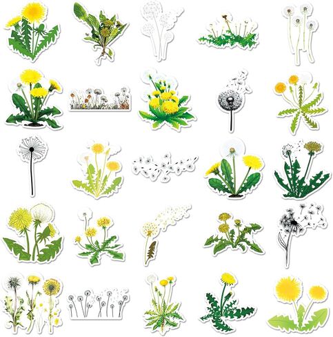 Dandelion Stickers,50PCs, Dandelion Laptop Decals Gift Toddlers Teens Girls Cute Cool Kawaii Tools Decorations DIY,Stickers for Hydro Flask in Kuwait