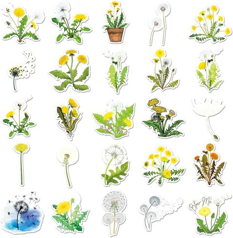 Dandelion Stickers,50PCs, Dandelion Laptop Decals Gift Toddlers Teens Girls Cute Cool Kawaii Tools Decorations DIY,Stickers for Hydro Flask in Kuwait