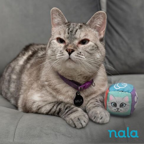 Caitec Presents Nala Cat Bunny Kickerz Catnip Kicker - Interactive Catnip Toy - Chase & Play, 6 Pack in Kuwait