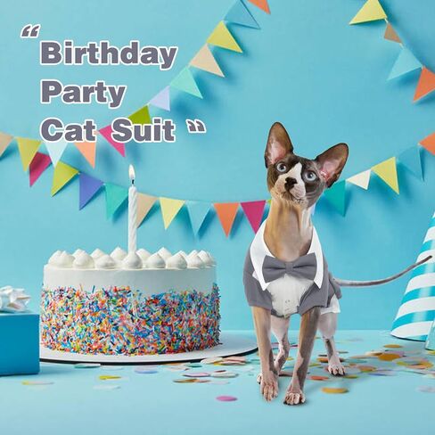 DENTRUN Cat Tuxedo Suit with Two Bow Tie، أنيق القط قميص الزي الرسمي، شعر القط الأزياء الملابس الملابس الفاخرة، هريرة الزي الرسمي الزفاف نيسيي زي للقطط فقط in Kuwait