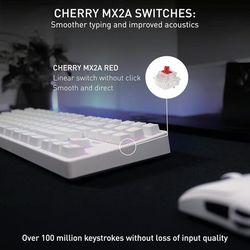 K4V2 TKL Mechanical Gaming Keyboard | Wired Without Number Keypad | RGB Lighting MX2A RED Switches (Retro) in Saudi Arabia