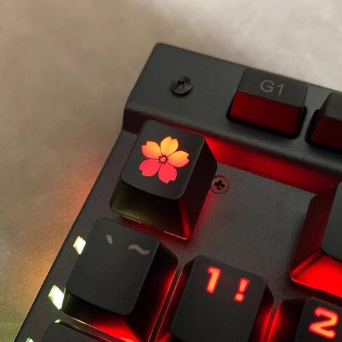 2Pcs Ctrl Keycaps, Backlit Cat Paw Keycaps, 1.25u DIY Personality Custom Cute Keycap, Shine Through Anime Keycap Replacement Key Gift for MX Switch Mechanical Gaming Keyboard(Red,Black) in Kuwait