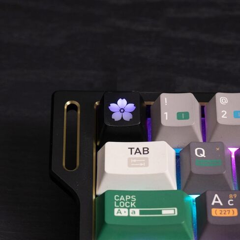 2Pcs Ctrl Keycaps, Backlit Cat Paw Keycaps, 1.25u DIY Personality Custom Cute Keycap, Shine Through Anime Keycap Replacement Key Gift for MX Switch Mechanical Gaming Keyboard(Red,Black) in Kuwait