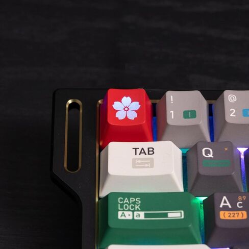 2Pcs Ctrl Keycaps, Backlit Cat Paw Keycaps, 1.25u DIY Personality Custom Cute Keycap, Shine Through Anime Keycap Replacement Key Gift for MX Switch Mechanical Gaming Keyboard(Red,Black) in Kuwait