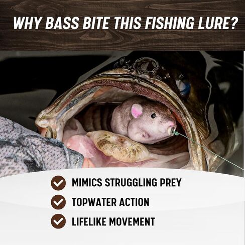 Lunkerhunt Furenzy Mouse Topwater Erure لباس ، تراوت و Pike - 2.5 "، 1/2 أوقية | أكوافور للاحتفاظ بنسبة 15 ٪ in Kuwait