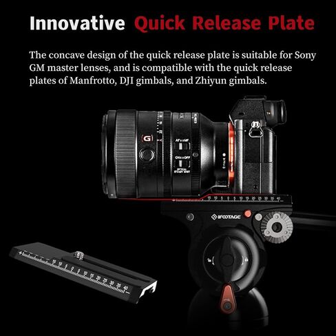 IFOOTAGE Komodo MP30 Ball Head,Metal 360° Rotating Ball Head with Panoramic Quick Release Plate, Compatible with Digital SLR Cameras, Mirrorless Cameras and Digital Cameras （Load 22lbs） in Kuwait