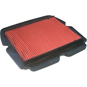 HiFloFiltro HFA1921-2 Premium OEM Replacement Air Filter, 2-Pack