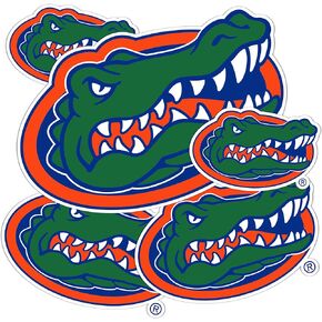 University of Florida Sticker Gators Stickers Vinyl Decals Laptop Water Bottle Car Scrapbook T3 (Type 3-1)