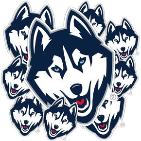 University of Connecticut Sticker Huskies UConn Stickers Vinyl Decals Laptop Water Bottle Car Scrapbook T3 (Type 3-1)