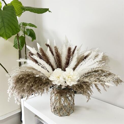 WORLDLYDA Natural Dried Pampas Grass Dried Flowers Boho Home Bouquet Phragmites with Bunny Tails for Wedding Bouquet Floral Arrangements Artificial Flower Home Decor Rustic Farmhouse Decorations in Kuwait