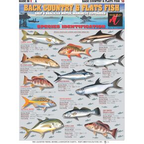 Backcountry & Flats Fish Identification Chart #10 (Salt & Brackish Water and Mangrove Estuaries) - Waterproof Quick Reference Guide | Portable & Built to Last | Double-Sided & Easy to Read