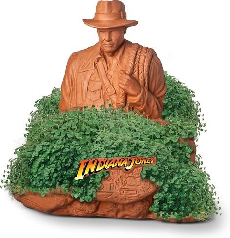 Chia Pet Indiana Jones with Seed Pack, Decorative Pottery Planter, Easy to Do and Fun to Grow, Novelty Gift, Perfect for Any Occasion in Saudi Arabia