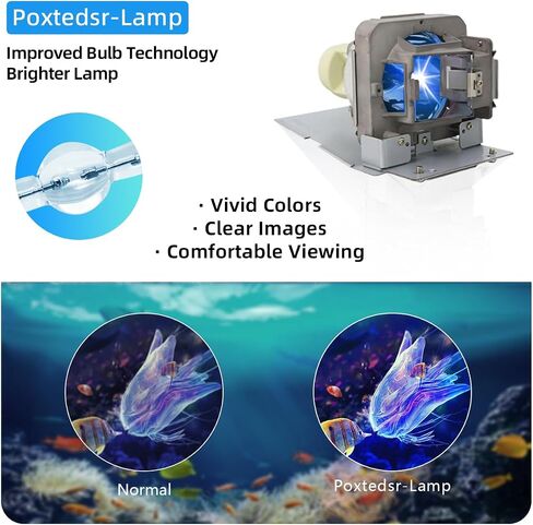 5J.JEL05.001 Replacement Projector Lamp compatible with BENQ TH670, TH670s Projectors, with Housing in Saudi Arabia