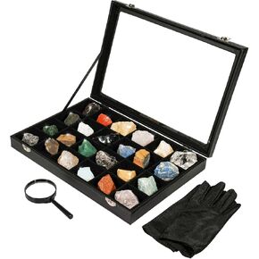 24 Pcs Rock & Mineral Collection with Rock Collection Display Case Crystals and Healing Stones Bulk Gemstone Raw Crystals Rough Stones