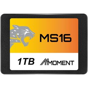 MMOMENT MS16 256GB 2.5 Inch SATA III 6 GB/s Internal Solid State Drive SSD (Read up to 550MB/s) Compatible with PC Desktop