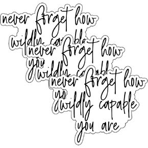 (3PCs) Never Forget How Wildly Capable You are Sticker, Mental Health Stickers, Water Assistant Mental Health, Inspirational Stickers, Motivational Encouraging Stickers for Laptop, Water Bottles