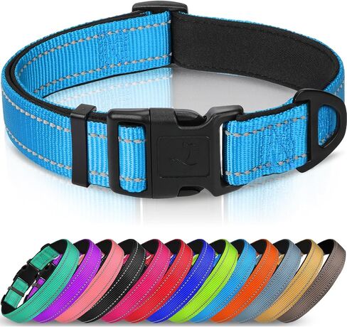 Joytale Reflective Dog Collar, Adjustable Neoprene Padded, Teal L in Saudi Arabia