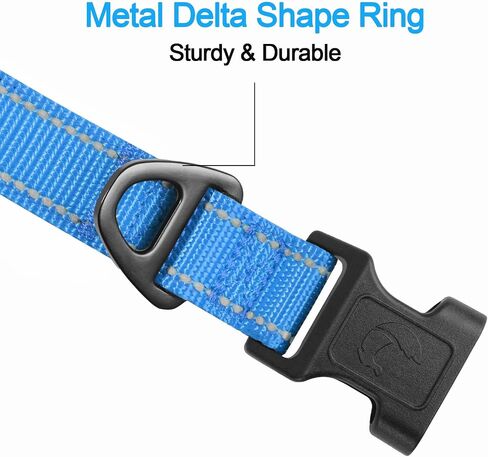Joytale Reflective Dog Collar, Adjustable Neoprene Padded, Teal L in Saudi Arabia