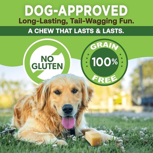 EcoKind Yak Cheese Himalayan Dog Chews, Yak Chews for Medium Dogs, Long Lasting Bone for Aggressive Chewers, 3 Ingredients, Natural High Protein Treats, No Additives, Lactose Free, Medium - 12 Chews in Saudi Arabia