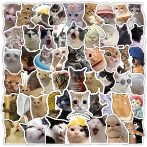 50Pcs Cute Cat Stickers, Funny Cat Meme Vinyl Stickers Decals for Adults Kids Teens, Waterproof Water Bottle Stickers Decals for Laptop Skateboard Scrapbook Phone Luggage Bicycle