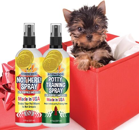 Bodhi Dog Not Here Spray - Trains Your Pet Where Not to Pee Indoors or Outdoors - Anti Marking Deterrent for Furniture, Carpet and Floor - Training Corrector for Puppies & Dogs - Made in USA (8 Fl Oz) in Kuwait