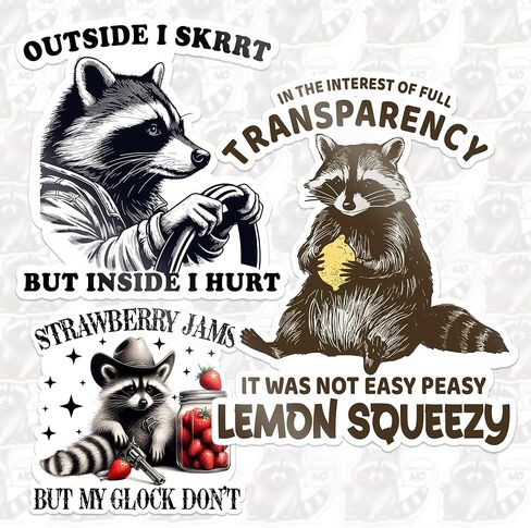 Set 3PCS 2 Inches - Funny Raccoon Easy Peasy Lemon Squeezyy - Outside I Skrrt But Inside I Hurt - Only You Can Prevent Dumpster Fire 2" Waterproof Vinyl Decal for Water Bottles Tumbler Laptop Car in Saudi Arabia