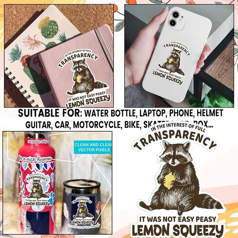 Set 3PCS 2 Inches - Funny Raccoon Easy Peasy Lemon Squeezyy - Outside I Skrrt But Inside I Hurt - Only You Can Prevent Dumpster Fire 2" Waterproof Vinyl Decal for Water Bottles Tumbler Laptop Car in Saudi Arabia