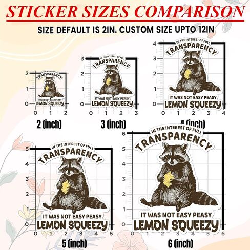Set 3PCS 2 Inches - Funny Raccoon Easy Peasy Lemon Squeezyy - Outside I Skrrt But Inside I Hurt - Only You Can Prevent Dumpster Fire 2" Waterproof Vinyl Decal for Water Bottles Tumbler Laptop Car in Saudi Arabia