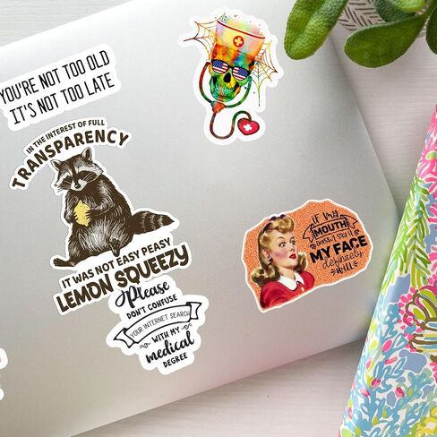 Set 3PCS 2 Inches - Funny Raccoon Easy Peasy Lemon Squeezyy - Outside I Skrrt But Inside I Hurt - Only You Can Prevent Dumpster Fire 2" Waterproof Vinyl Decal for Water Bottles Tumbler Laptop Car in Saudi Arabia