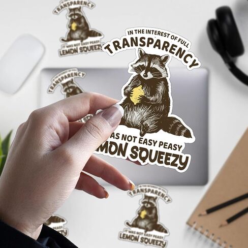 Set 3PCS 2 Inches - Funny Raccoon Easy Peasy Lemon Squeezyy - Outside I Skrrt But Inside I Hurt - Only You Can Prevent Dumpster Fire 2" Waterproof Vinyl Decal for Water Bottles Tumbler Laptop Car in Saudi Arabia