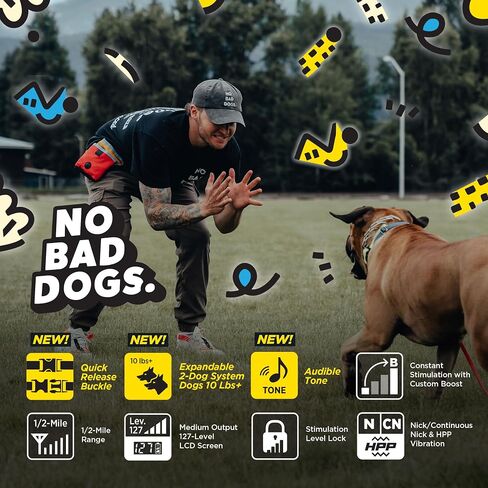 Dogtra E-Collar Tom Davis 280C Boost & Lock, Waterproof, 1/2-Mile Range Dog Training Collar with Remote, Rechargeable, 127 Levels, Vibration, Bungee, No Bad Dogs Trainer for Small, Medium, Large Dogs in Kuwait