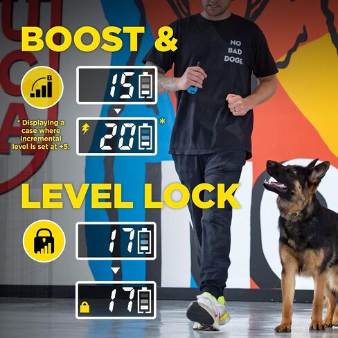 Dogtra E-Collar Tom Davis 280C Boost & Lock, Waterproof, 1/2-Mile Range Dog Training Collar with Remote, Rechargeable, 127 Levels, Vibration, Bungee, No Bad Dogs Trainer for Small, Medium, Large Dogs in Kuwait