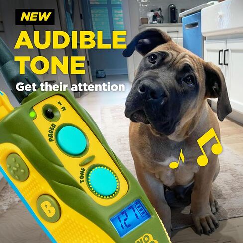Dogtra E-Collar Tom Davis 280C Boost & Lock, Waterproof, 1/2-Mile Range Dog Training Collar with Remote, Rechargeable, 127 Levels, Vibration, Bungee, No Bad Dogs Trainer for Small, Medium, Large Dogs in Kuwait