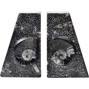 AMOYSTONE 1Pair Decorative Bookends for Shelves, Crystal Stone Bookends Natural Orthoceras Fossil Book Ends Trapezoid 4-5 LBS Height 4.7"
