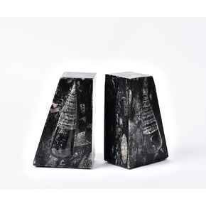 AMOYSTONE 1Pair Decorative Bookends for Shelves, Crystal Stone Bookends Natural Orthoceras Fossil Book Ends Trapezoid 4-5 LBS Height 4.7"