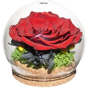 Preserved Real Rose in a Circular Glass Cover， with Wooden Base, a Gift for Valentine's Day, Mother's Day Christmas, Anniversary, Girlfriend Birthday（Blue） 1 pcs 10 cm