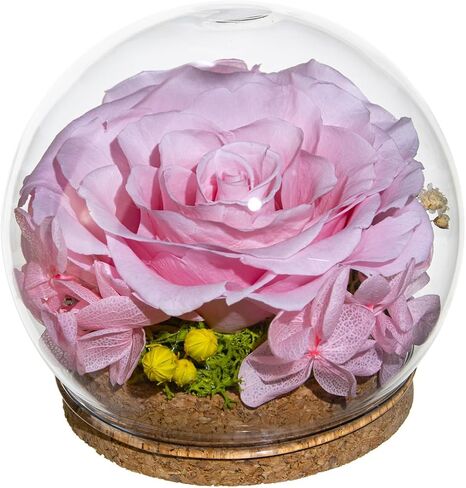 Preserved Real Rose in a Circular Glass Cover， with Wooden Base, a Gift for Valentine's Day, Mother's Day Christmas, Anniversary, Girlfriend Birthday（Blue） 1 pcs 10 cm in Saudi Arabia