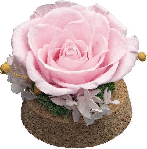 Preserved Real Rose in a Circular Glass Cover， with Wooden Base, a Gift for Valentine's Day, Mother's Day Christmas, Anniversary, Girlfriend Birthday（Blue） 1 pcs 10 cm in Saudi Arabia