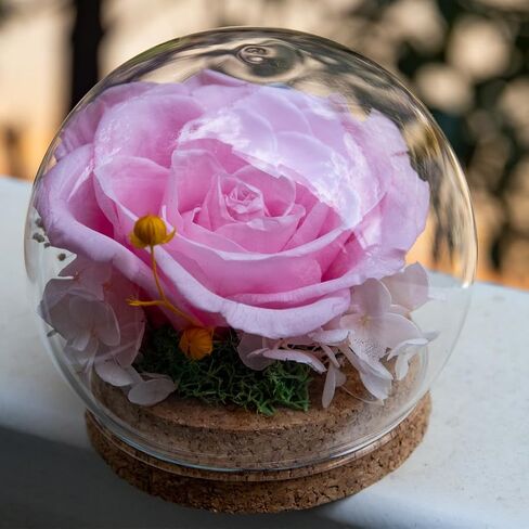 Preserved Real Rose in a Circular Glass Cover， with Wooden Base, a Gift for Valentine's Day, Mother's Day Christmas, Anniversary, Girlfriend Birthday（Blue） 1 pcs 10 cm in Saudi Arabia