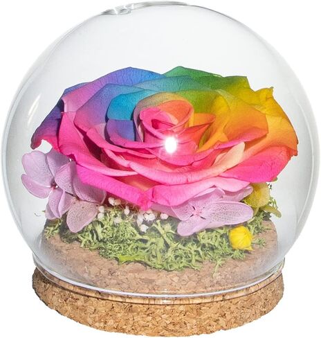 Preserved Real Rose in a Circular Glass Cover， with Wooden Base, a Gift for Valentine's Day, Mother's Day Christmas, Anniversary, Girlfriend Birthday（Blue） 1 pcs 10 cm in Saudi Arabia