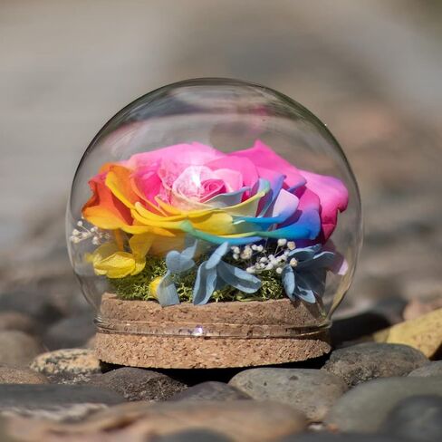 Preserved Real Rose in a Circular Glass Cover， with Wooden Base, a Gift for Valentine's Day, Mother's Day Christmas, Anniversary, Girlfriend Birthday（Blue） 1 pcs 10 cm in Saudi Arabia